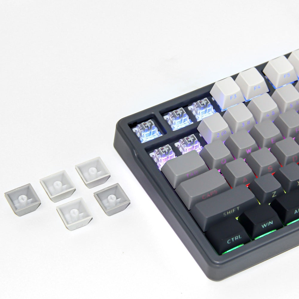 FURYCUBE ZT99 Model 99-Key Gaming Keyboard, Single Mode with RGB Backlighting - 98% Compact Layout, Black And White Side-Etched Keycaps with Gradient, Side-Printed Keycaps, USB Powered Wired Mechanical Keyboard, Compatible with Win\u002FMac