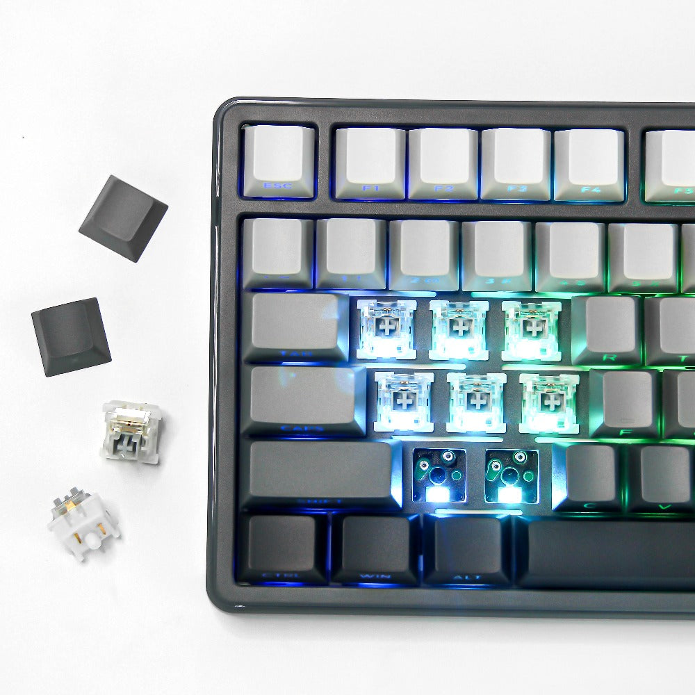 FURYCUBE ZT99 Model 99-Key Gaming Keyboard, Single Mode with RGB Backlighting - 98% Compact Layout, Black And White Side-Etched Keycaps with Gradient, Side-Printed Keycaps, USB Powered Wired Mechanical Keyboard, Compatible with Win\u002FMac